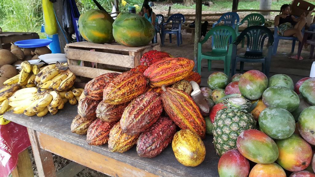 Hostal Maravilla Amazonica Iquitos Eksteriør bilde
